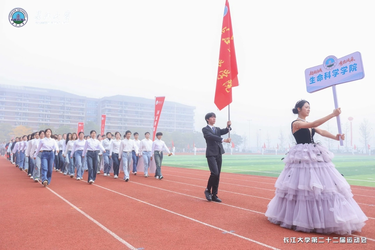 赛场展英姿，拼搏铸辉煌——3044永利在学校运动会中绽放风采
